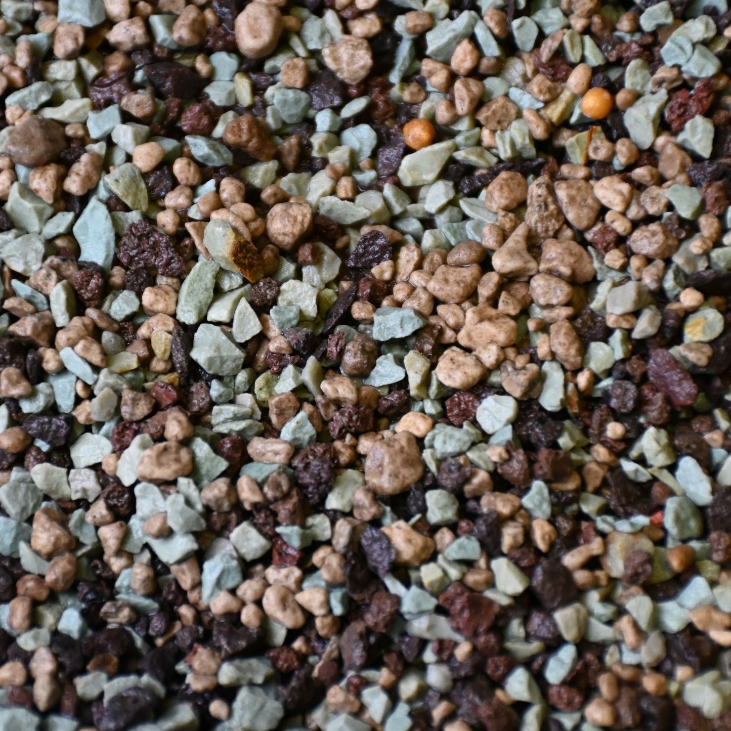 Kaktus- Ja Mehikasvimineraaliseos