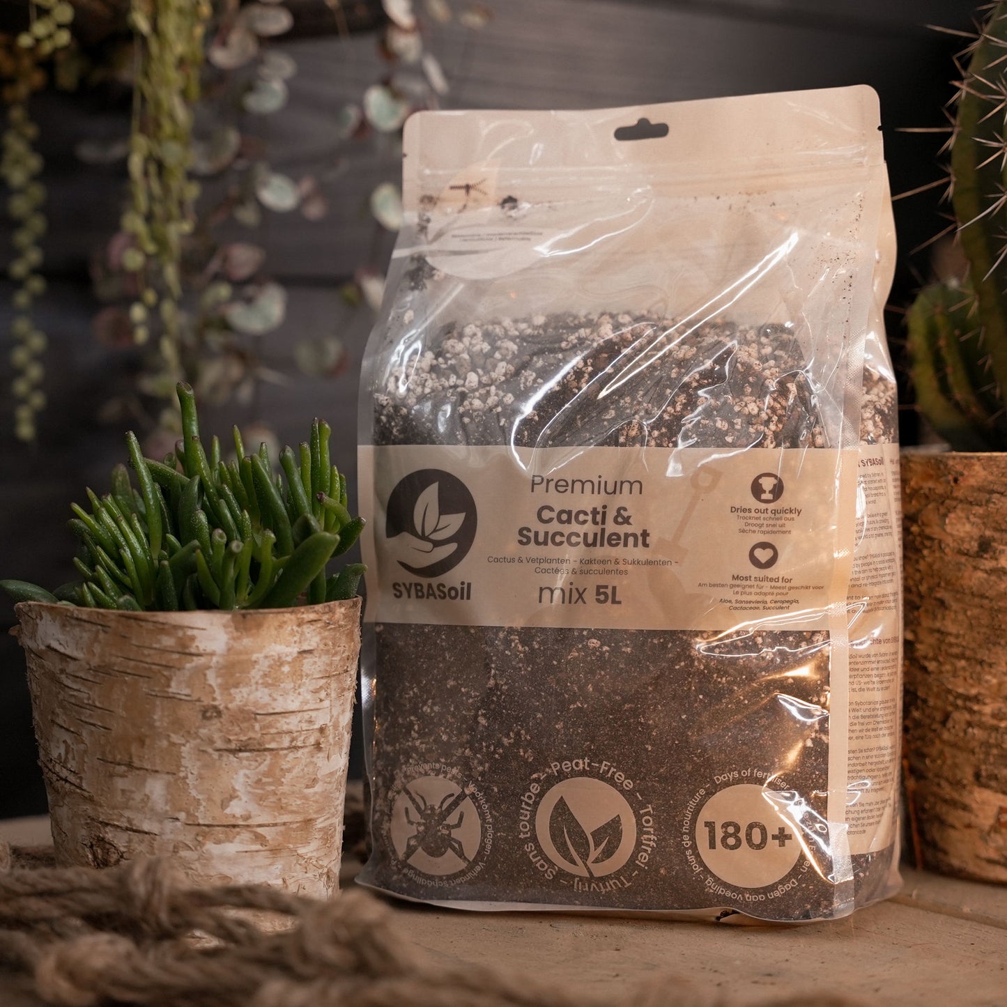 Tee-se-itse aavikkosekoituspaketti