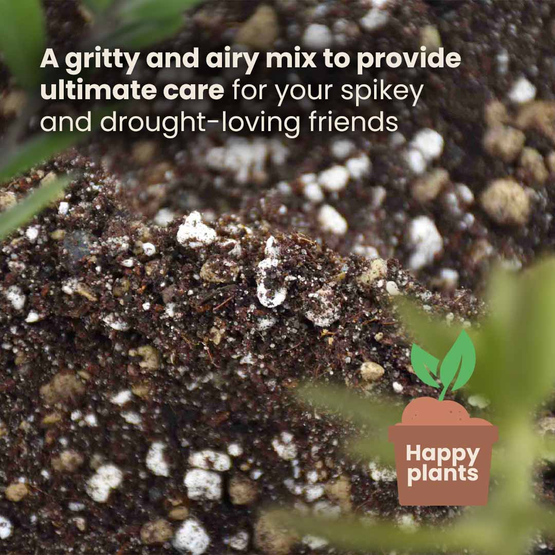 Kaktukset & Mehikasvitmulta