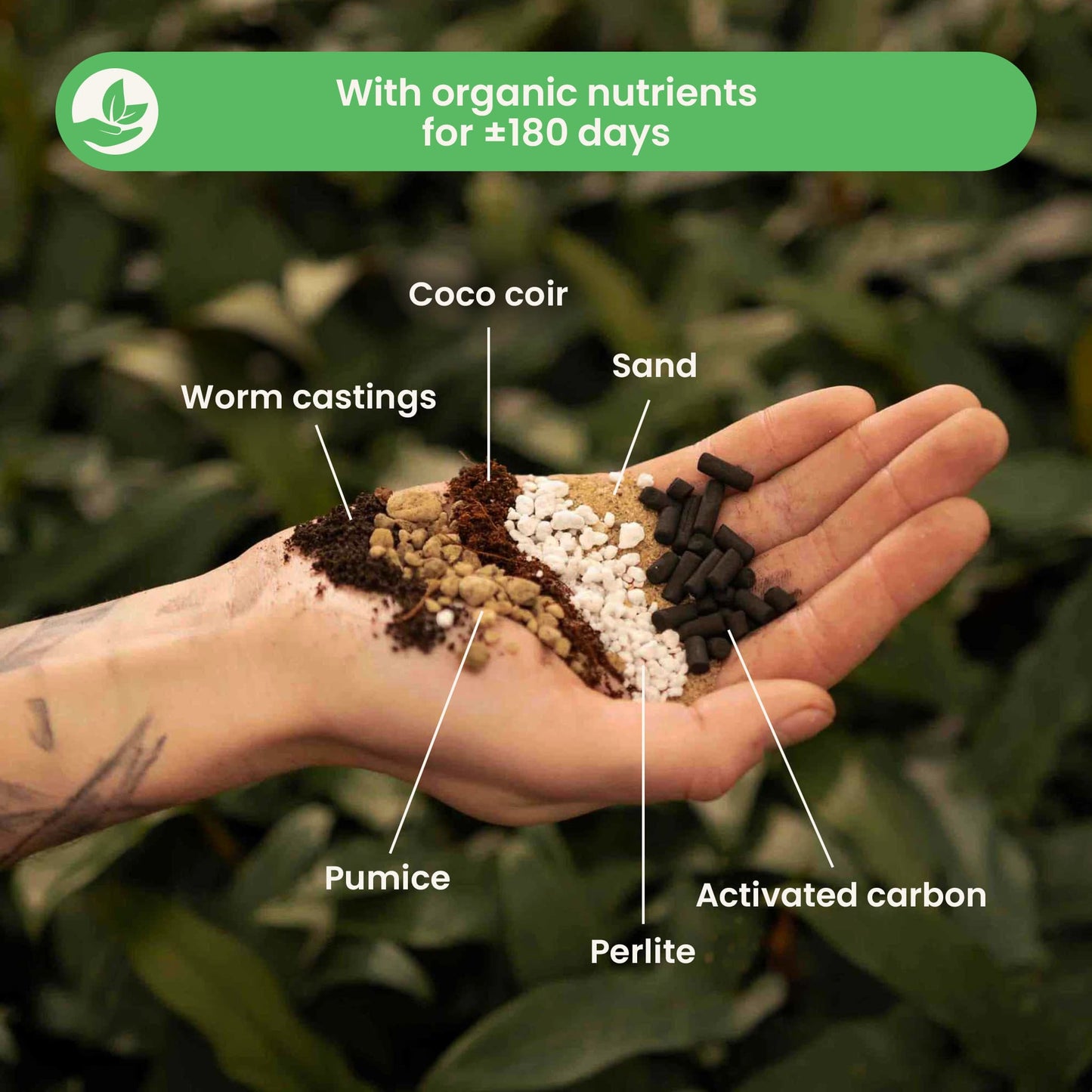 Kaktukset & Mehikasvitmulta