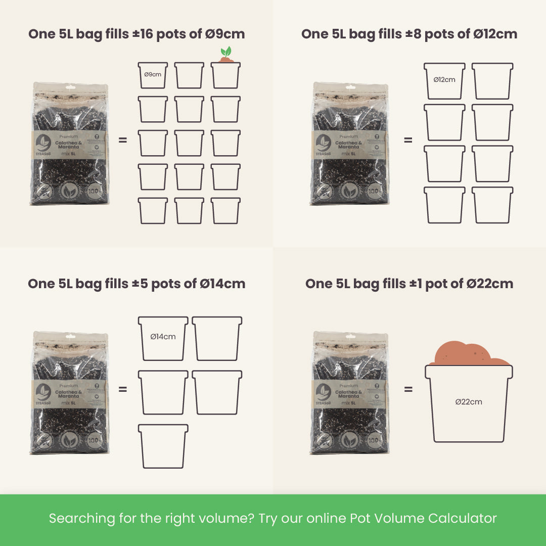 Calathea & Maranta-multa