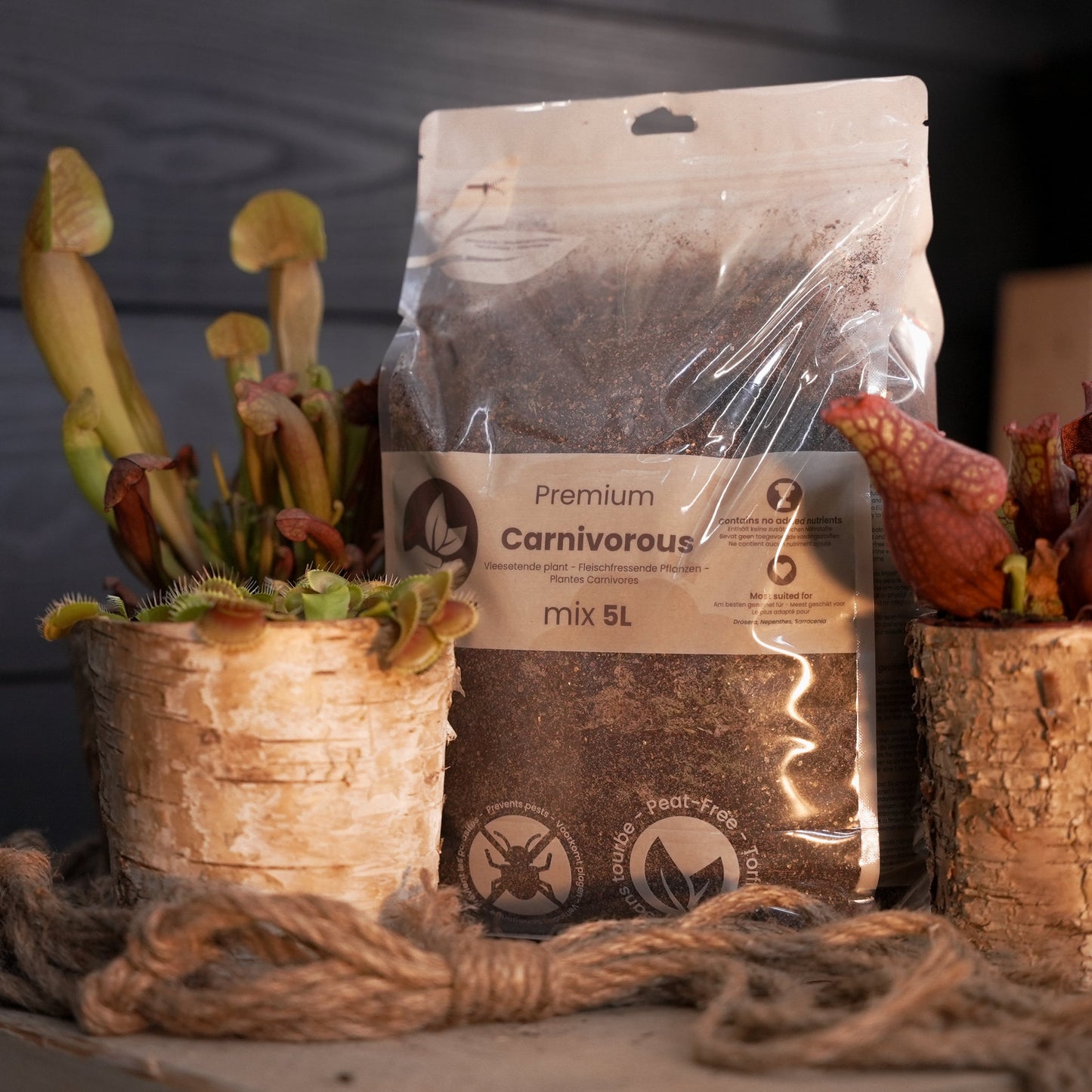 Lihansyöjäkasvitmulta