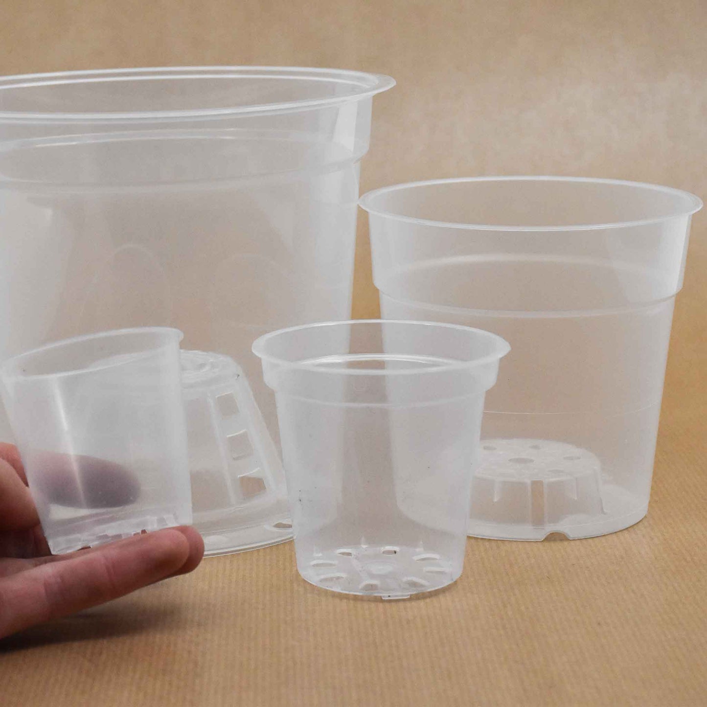 Clear Orchid Plant Pots