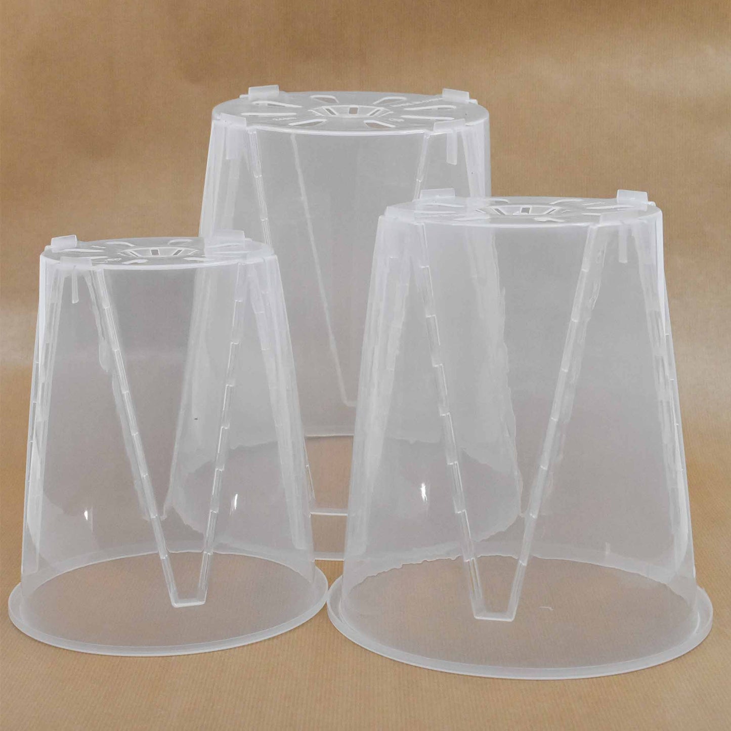 Suuret Aroidi-/Orkideapannut