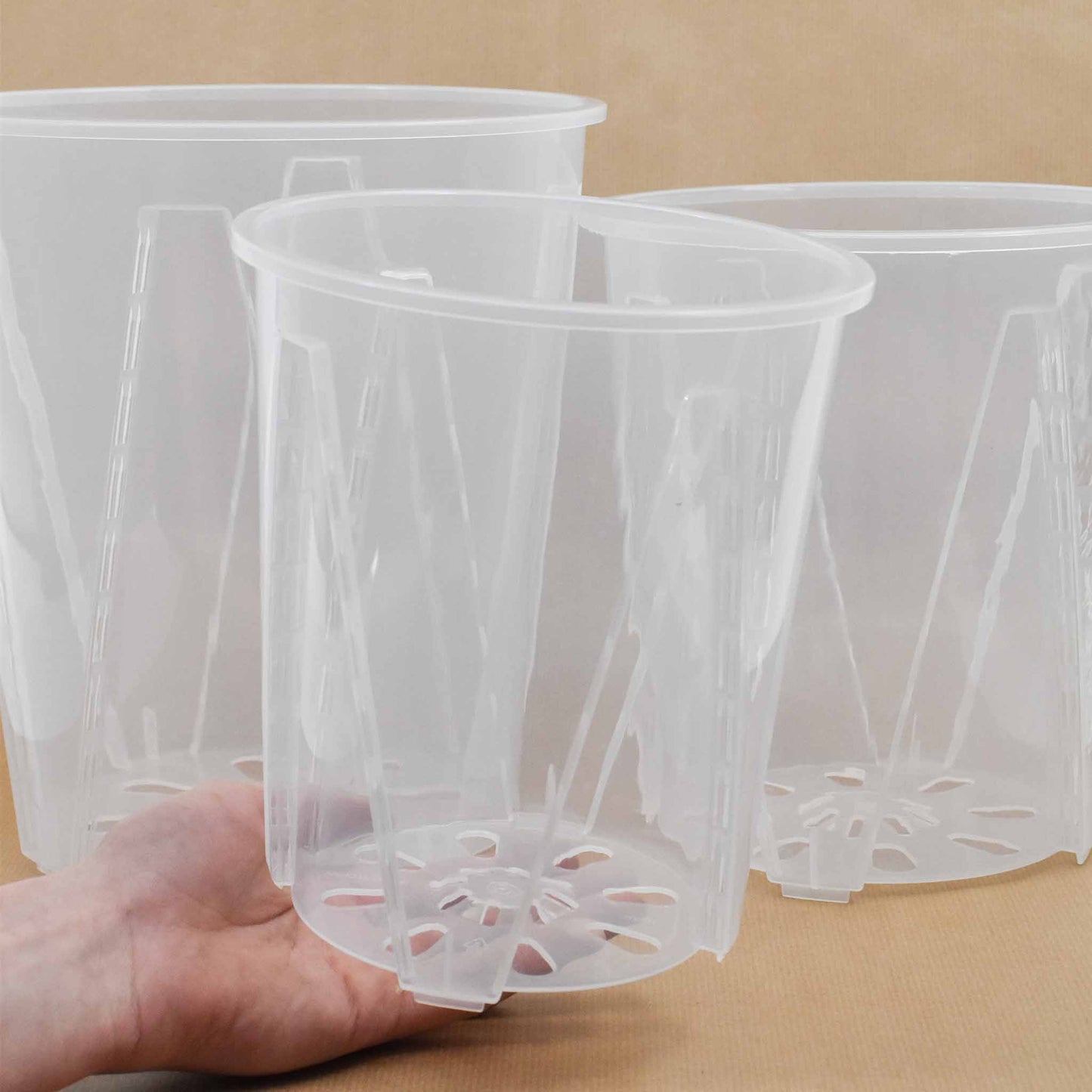 Suuret Aroidi-/Orkideapannut