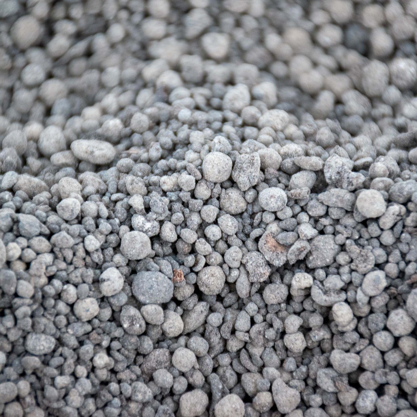 Orkideoiden Hitaasti Vapautuva Ravinne