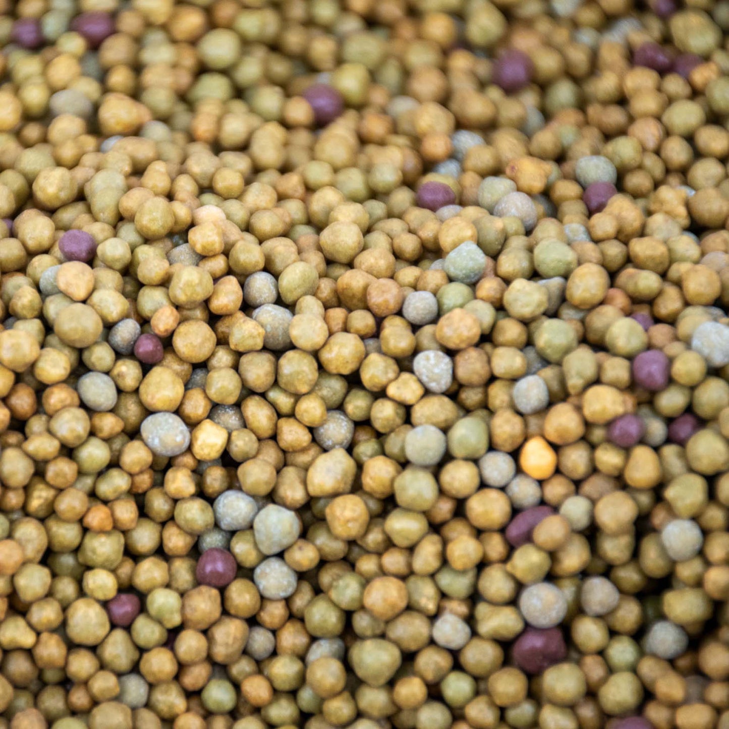 Tropical Slow-Release Plant Food