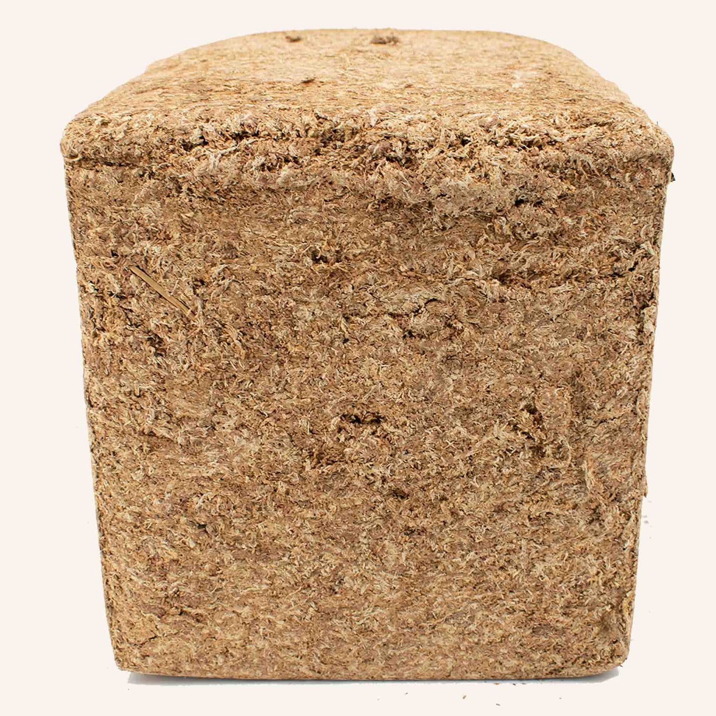 Pressed Rahkasammal (Argentiinalainen)