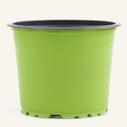 Green nursery pot