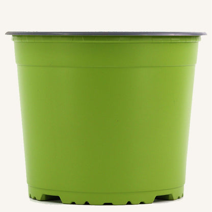 Green nursery pot