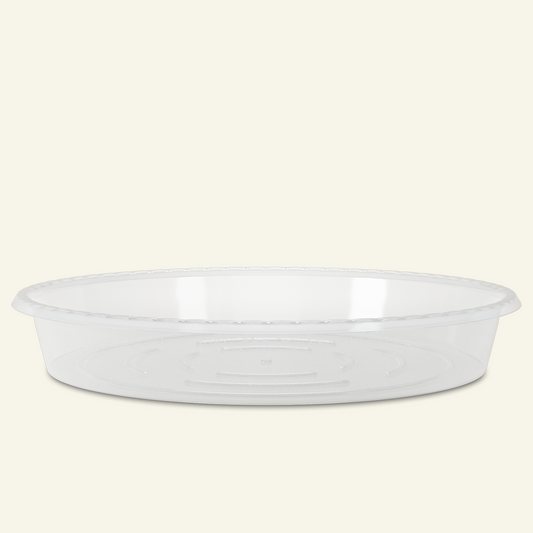 Clear Saucer