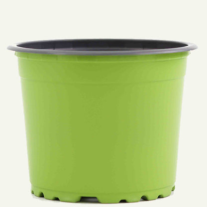 Green nursery pot