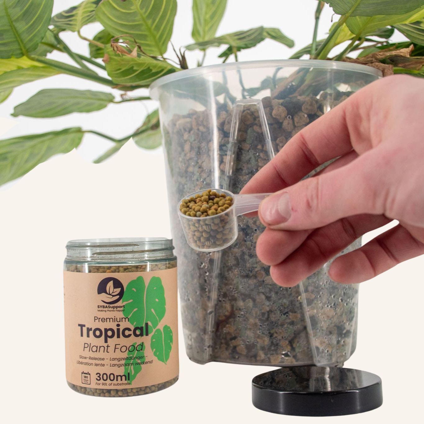 Trooppisten Kasvien Hitaasti Vapautuva Ravinne