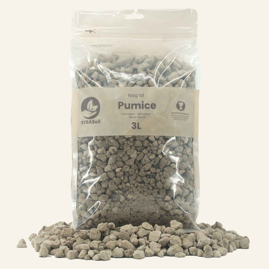 Pumice 3L 8-16mm