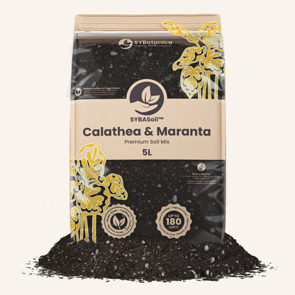 Calathea & Maranta-multa 5L