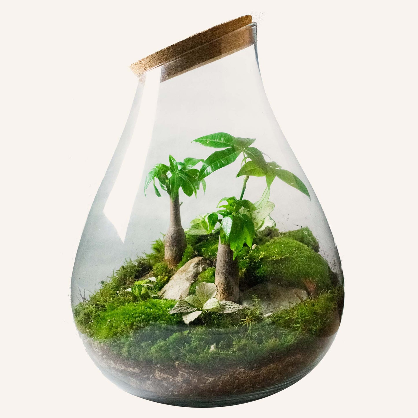 Superterraariopaketti